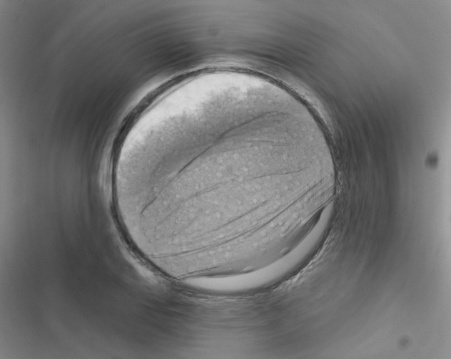 X0000116551127201001211156