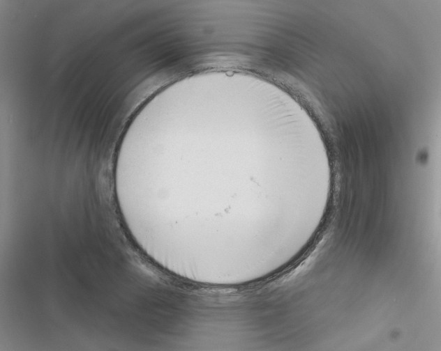 X0000116551129201001211156