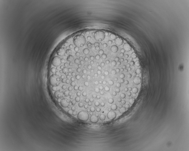 X0000116551130201001211156