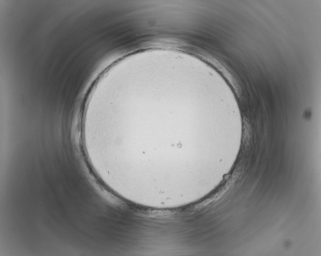 X0000116551131201001211156