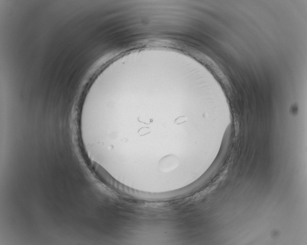 X0000116551133201001211156