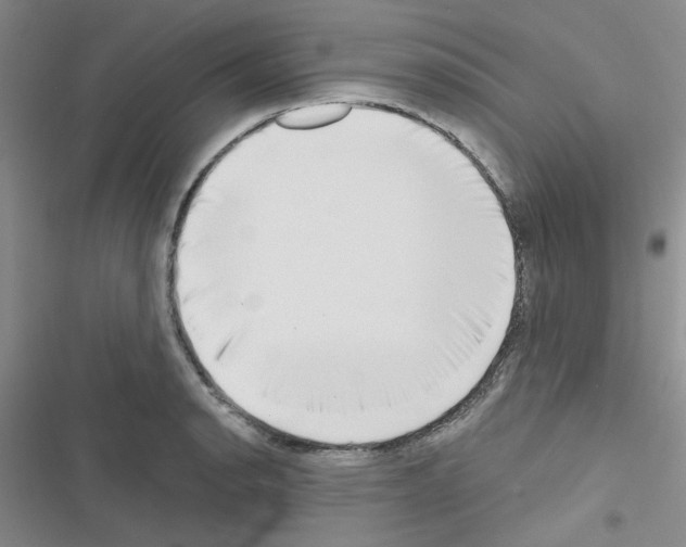 X0000116551134201001211156