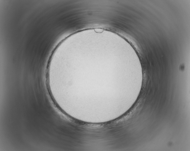 X0000116551135201001211156