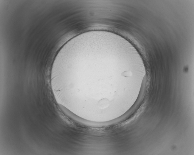 X0000116551137201001211156