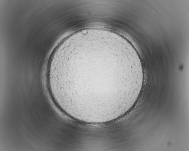 X0000116551139201001211156