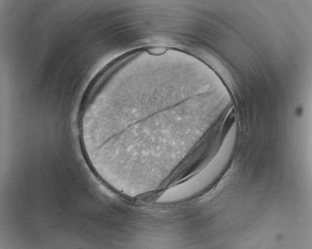 X0000116551141201001211156