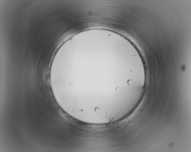 X0000116551145201001211156