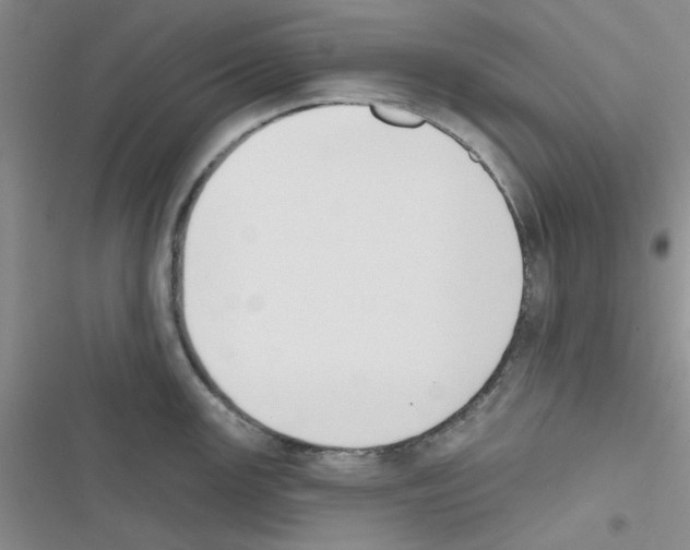 X0000116551147201001211156