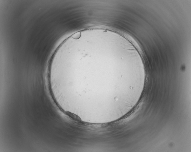 X0000116551149201001211156