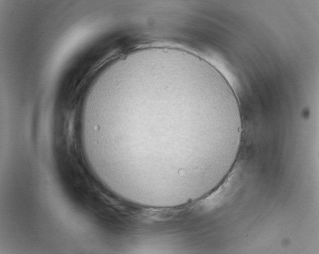 X0000116551150201001211156