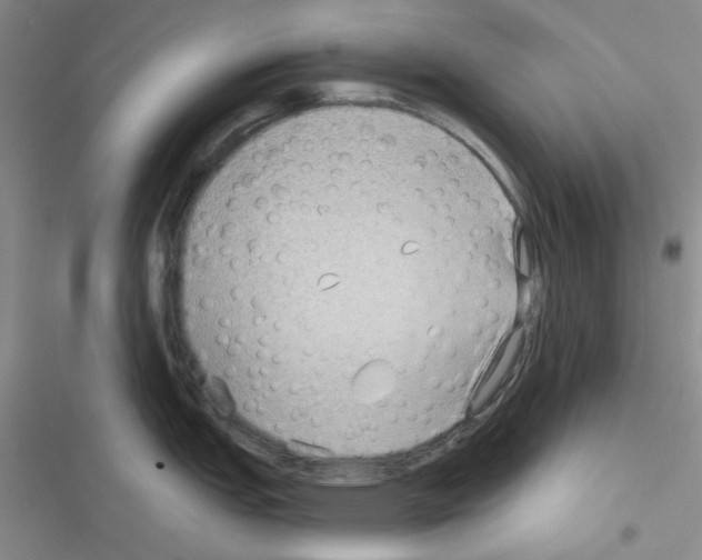 X0000116551151201001211156