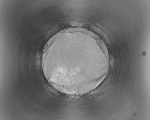 X0000116551154201001211156