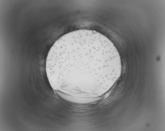 X0000116551156201001211156