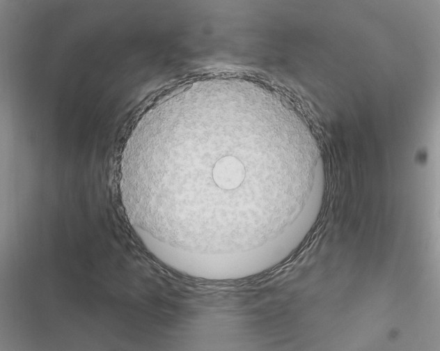 X0000116551157201001211156