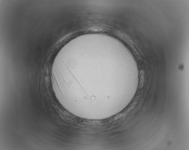 X0000116551158201001211156