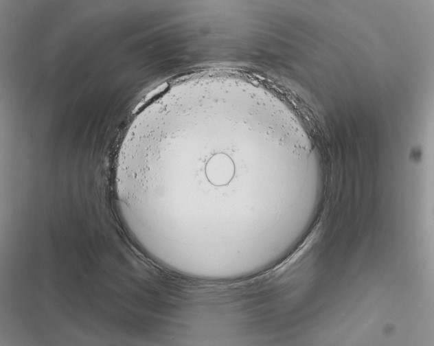 X0000116551161201001211156