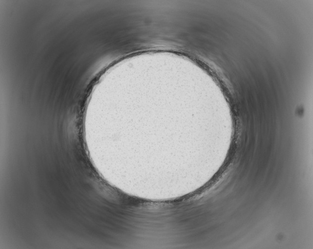 X0000116551163201001211156