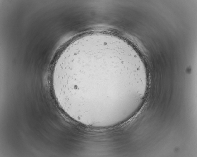 X0000116551164201001211155