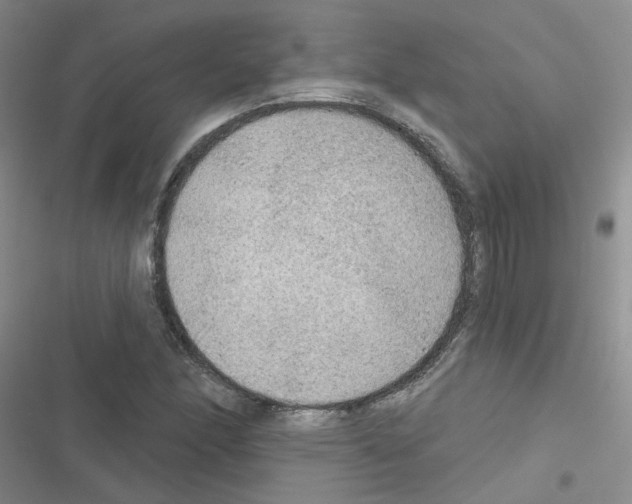 X0000116551166201001211155