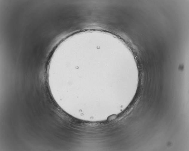 X0000116551167201001211155