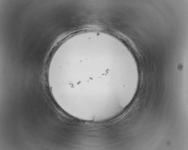 X0000116551168201001211155