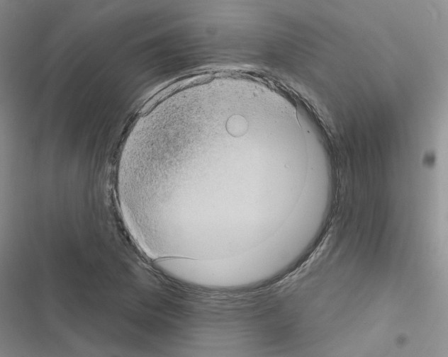 X0000116551169201001211155