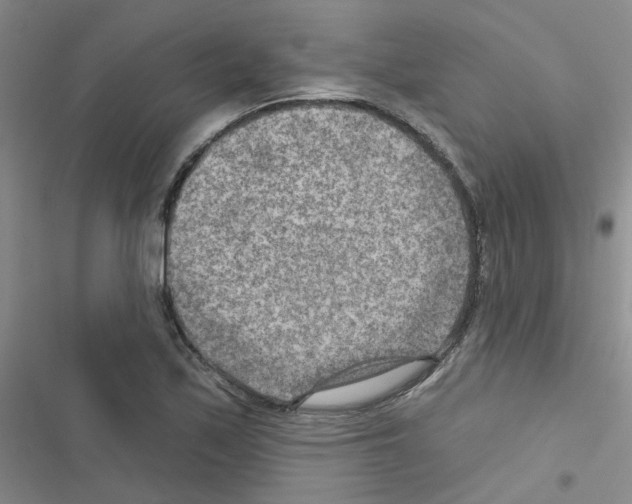 X0000116551171201001211155