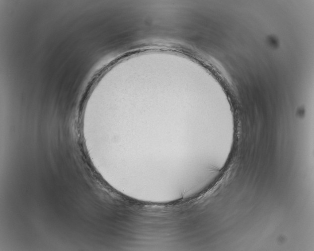 X0000116551172201001211155