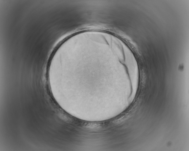 X0000116551174201001211155