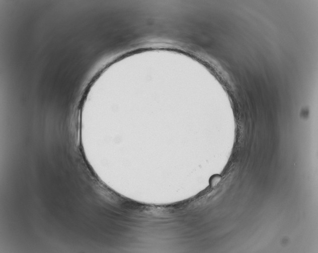 X0000116551175201001211155