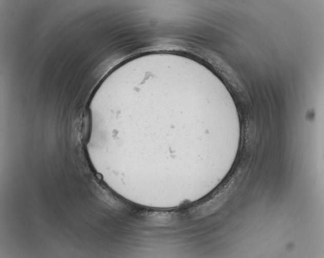 X0000116551177201001211155