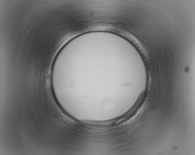 X0000116551178201001211155