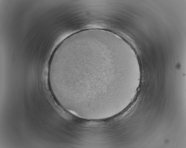 X0000116551179201001211155