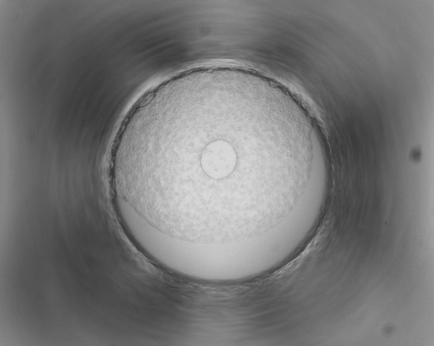 X0000116551181201001211155