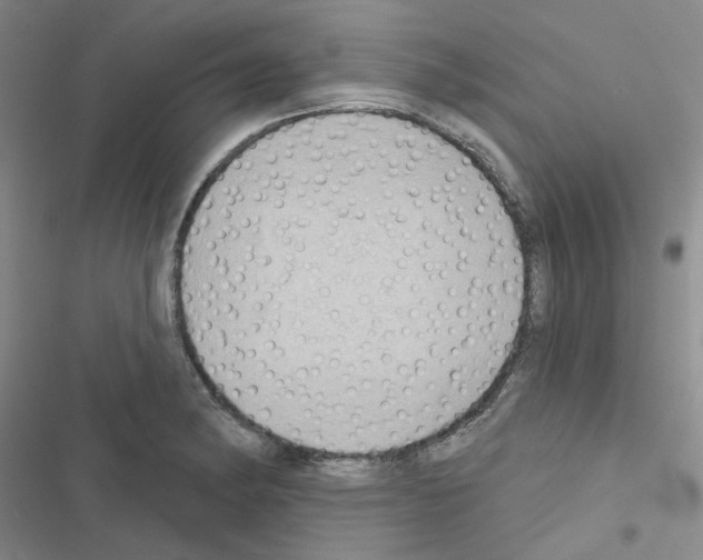 X0000116551182201001211155