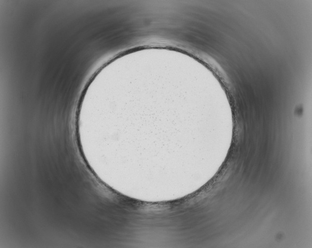 X0000116551183201001211155