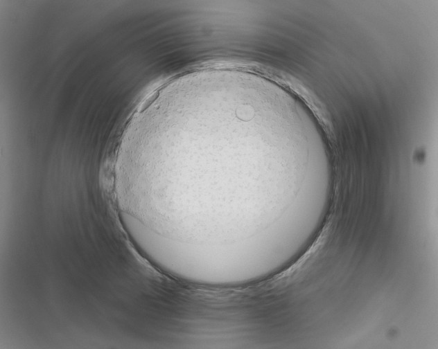 X0000116551185201001211155