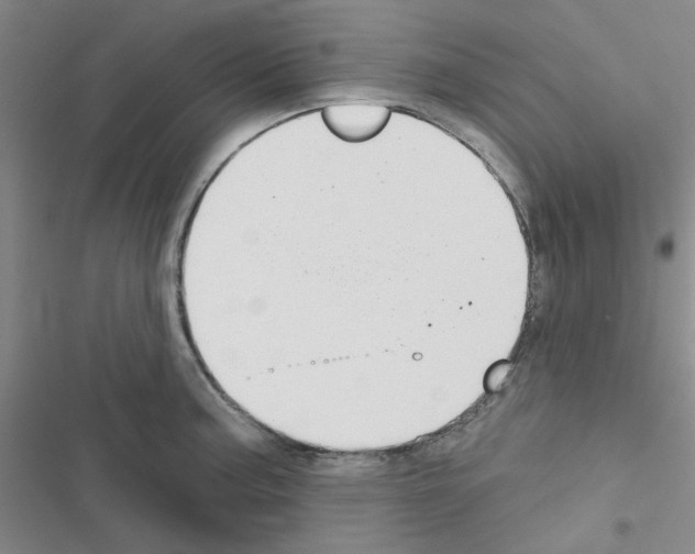 X0000116551187201001211155