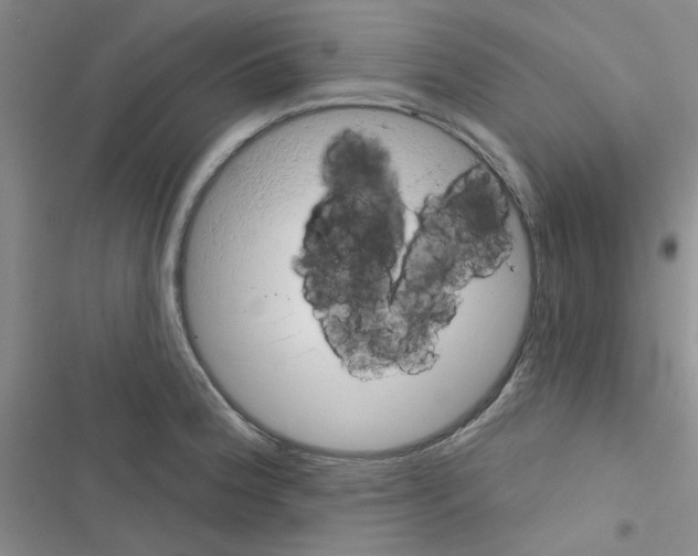 X0000116551188201001211155