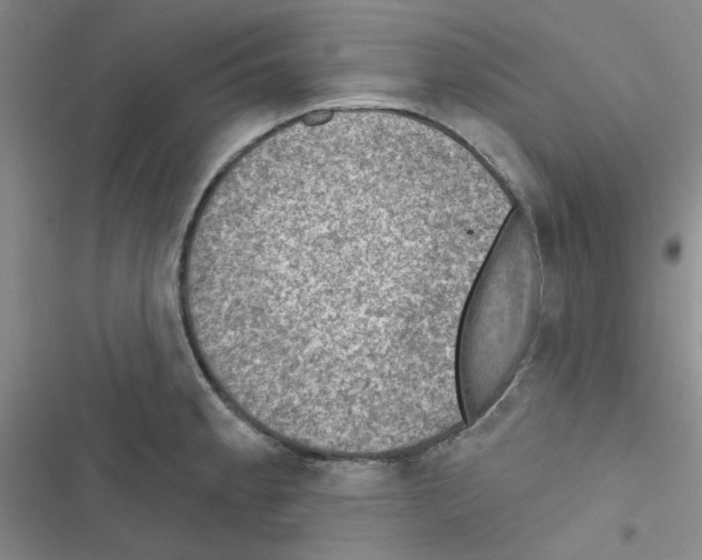 X0000116551189201001211155