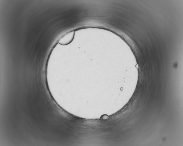 X0000116551191201001211155