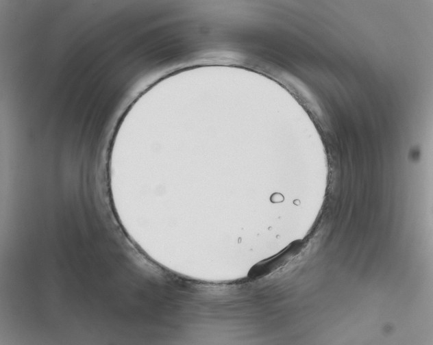 X0000116551192201001211155