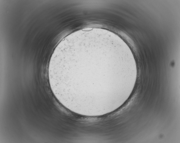 X0000116551193201001211155