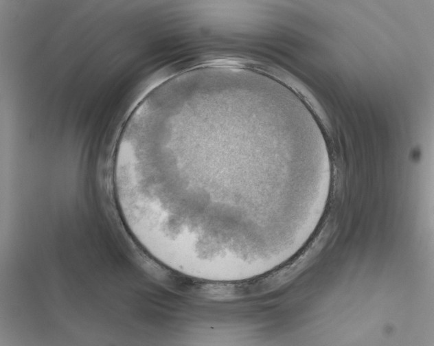 X0000116551194201001211155