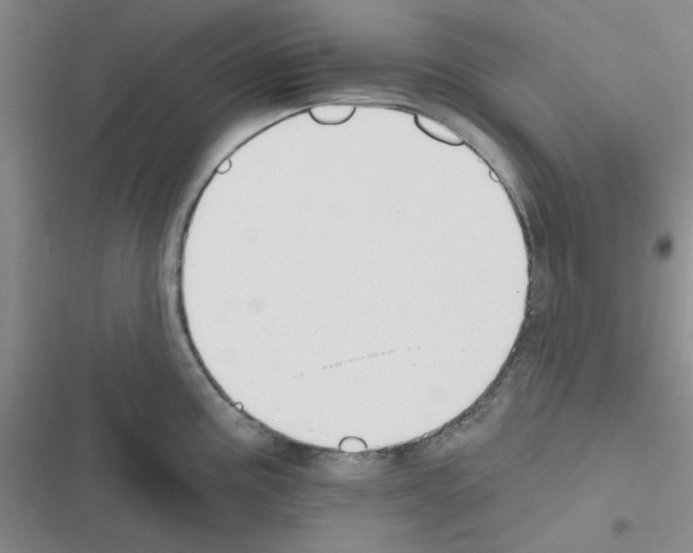 X0000116551195201001211155