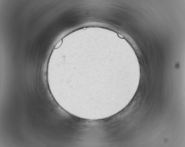 X0000116551199201001211155