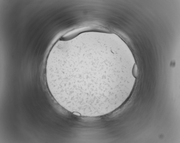 X0000116551200201001211155