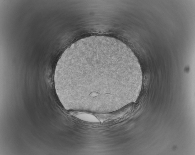 X0000116551202201001211154