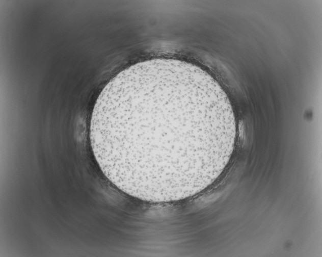 X0000116551203201001211154