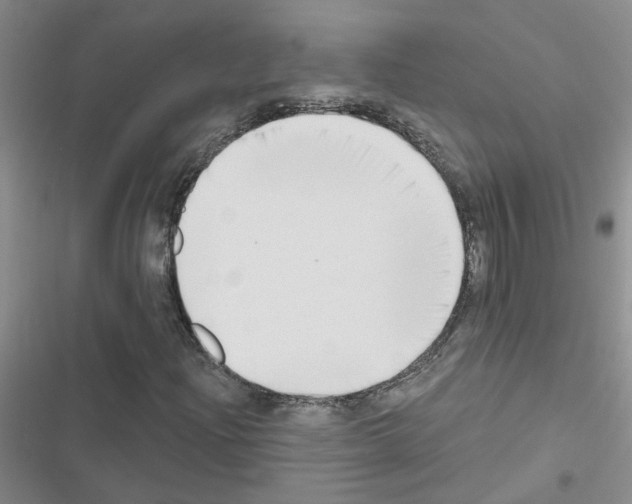 X0000116551204201001211154